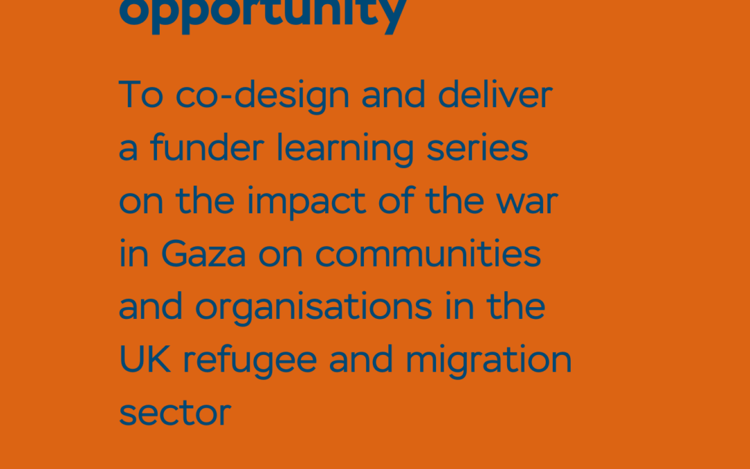 Consultancy opportunity: co-design and deliver a funder learning series on Palestine